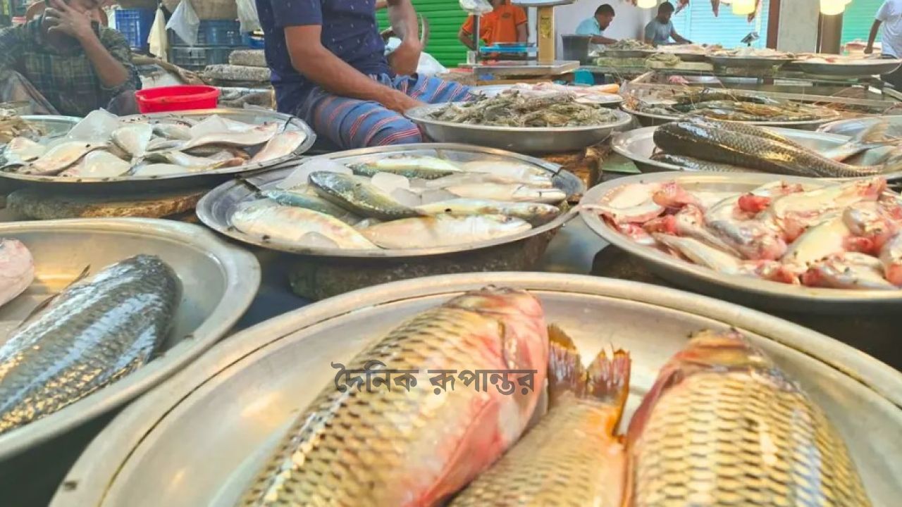 ২০০ টাকার নিচে নেই কোনো মাছ