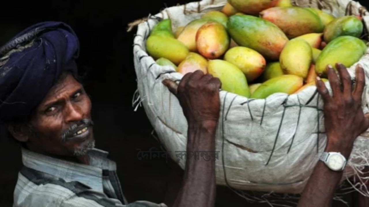 ভারতীয় আম আমদানিতে নিষেধাজ্ঞা জাপানের